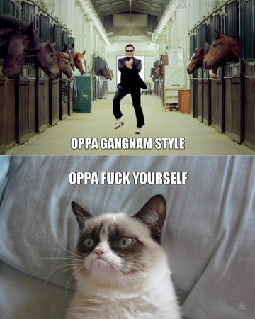 GAN Grumpy