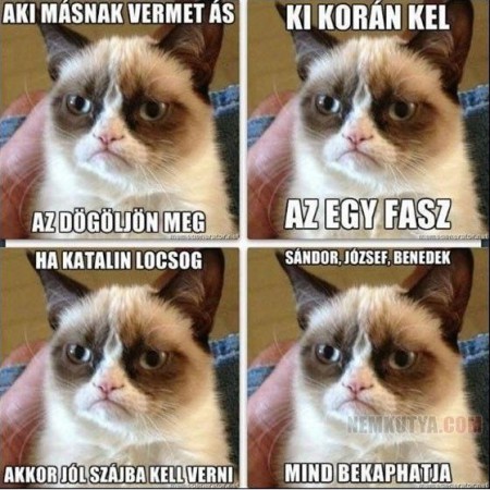 Grumpy