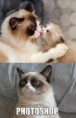 Grumpy